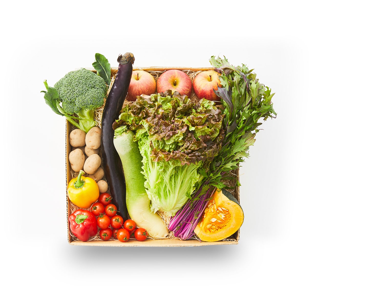 のら野菜お任せプレミアムセット