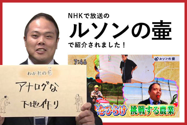 NHKで放送の　ルソンの壷「可能性をひらけ 挑戦する農業」で紹介されました。